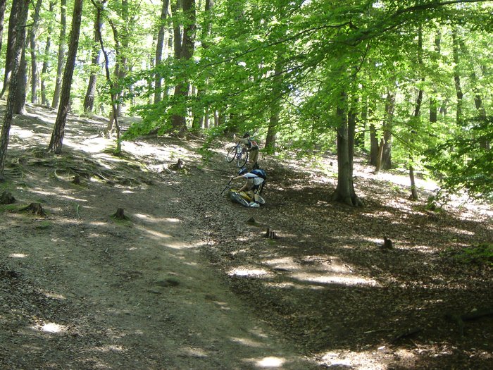 010 2005 Calypso   bike zavhod Hvezda